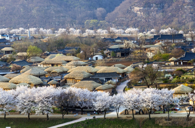 하회마을