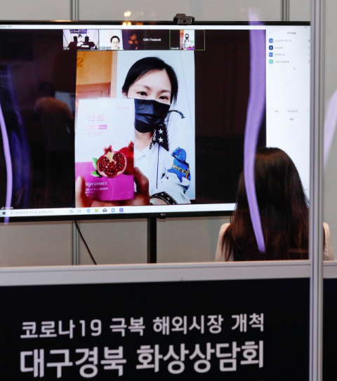 지난 20일 대구 수성구 만촌동 호텔인터불고에서 열린 해외시장 개척을 위한 온라인 화상 상담회 모습. 매일신문 DB