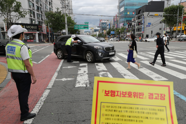 지난 7일 오후 대구 서구 남평리네거리 횡단보도에서 서부경찰서 교통경찰들이 보행자 신호등에 파란 불인데도 진입한 차량을 멈춰 세운 뒤 보행자보호위반 경고장을 발부하고 있다. 정운철 기자 woon@imaeil.com