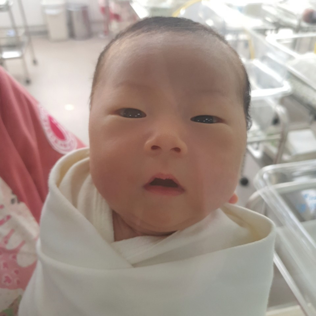 진성모(36)·김동진(37) 부부 첫째 아들 도담이(3.1㎏) 8월 21일 출생