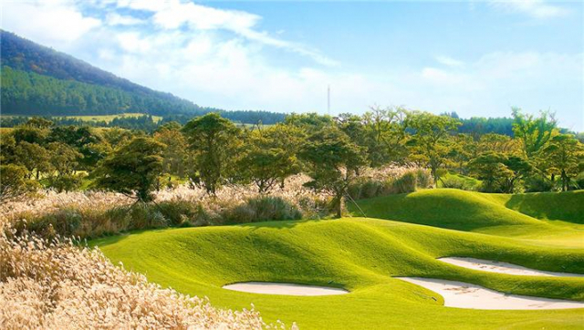 제주 엘리시안cc는 KLPGA 대회가 열린 훌륭한 골프장으로 제주 특유의 자연과 페어웨이가 넓은 코스를 갖춰 초급자부터 중 상급자까지 두루 만족할 수 있다. 자이언트 골프앤투어 제공