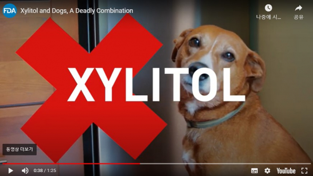 FDA( 미국 식품의약국)의 수의학 센터 (Center for Veterinary Medicine)는 개가 자일리톨이 함유된 식품들을 먹고 저혈당증과 급성 간질환을 유발하는 자일리톨 중독증에 빠질 수 있음을 경고하고 있다. (출처 FDA)