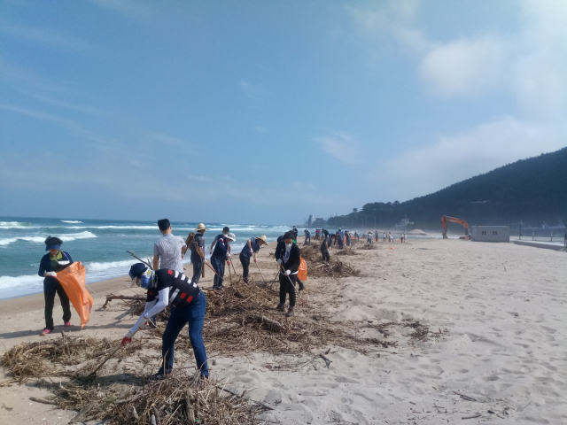 경상북도 환동해본부 직원들이 15일 영덕 고래불해수욕장에서 환경정화 활동을 벌이고 있다. 경북도 제공