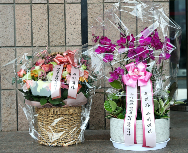 16일 오전 경기도 정부과천청사 법무부 앞에 추미애 장관 지지자들이 보낸 화분이 놓여 있다. 연합뉴스