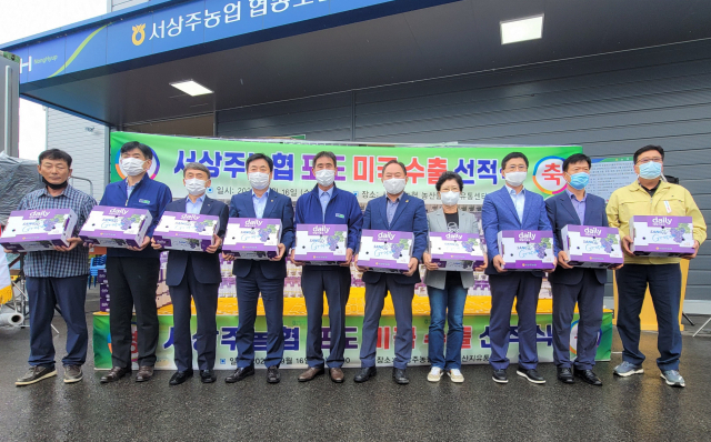 지난 16일 경북 서상주농협유통센터에서 열린 캠벨 포도 수출 기념행사에서 참석자들이 기념촬영을 하고 있다. 왼쪽 세 번째부터 김춘안 농협 경북지역본부장, 김재기 NH농협무역 대표이사, 박경환 서상주농협 조합장. 농협 제공