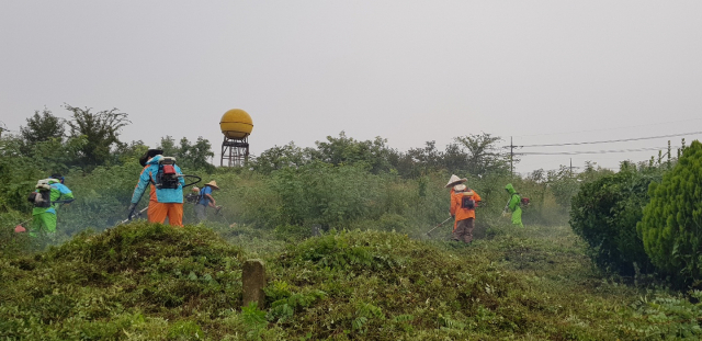 경산 자인면 새마을지도자협의회 회원들이 18일 남촌리 공동묘지에서 벌초를 하고 있다. 협의회 제공