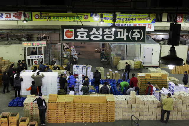 대구 북부도매시장법인 효성청과 경매장. 효성청과 제공