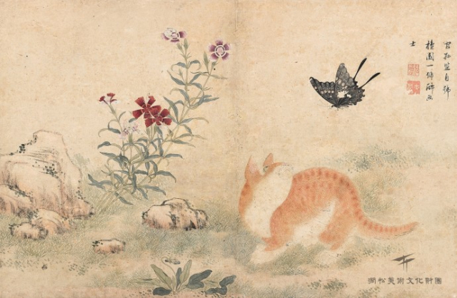 김홍도 - 황묘농접(黃猫弄蝶, 노란 고양이가 나비를 놀리다). 간송미술문화재단