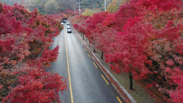 팔공산순환도로