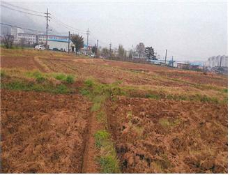 경주 입실리