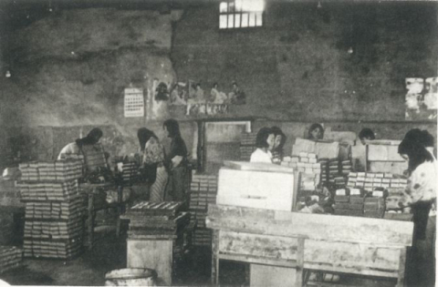 1970년대 경북 의성군 의성읍 도동리 