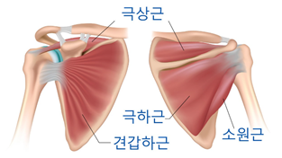 수건을 활용한 업-다운 운동 예시