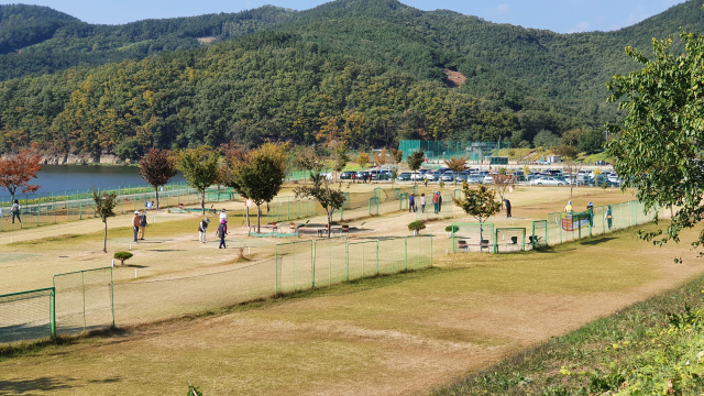 대구 동구 봉무파크골프장에서 시민들이 파크골프를 즐기는 모습. 매일신문DB