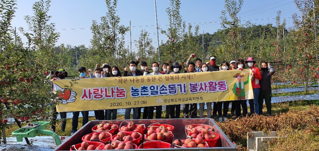 의성교육지원청 과수원 일손 돕기 봉사 활동