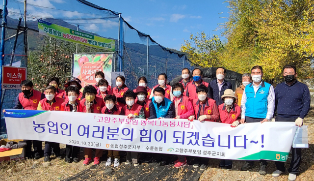 농협 성주군지부-(사)고향주부모임성주군연합회 사과수확 일손돕기