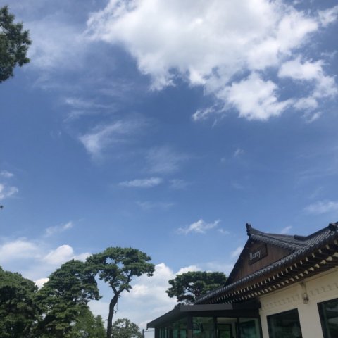 놀러 다니기 좋은 날, 책 읽기 좋은 날_최성욱