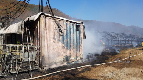 경북 의성군 안평면 괴산리 양계장에 전기합선으로 추정되는 화재가 발생, 계사와 컨테이너를 태웠다. 경상북도 소방본부 제공