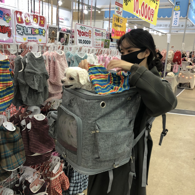 기자가 펫쇼 박람회장에서 반려견 옷을 고르고 있다
