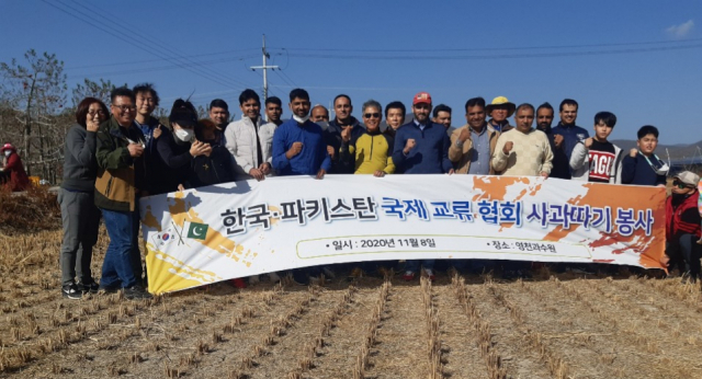 한국·파키스탄국제교류협회 사과 따기 봉사
