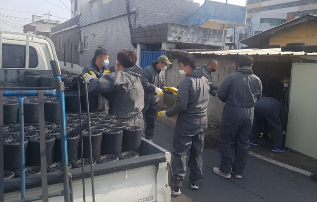 영천 2세 한돈인 모임 회원들이 지역 저소득 농가에 전달할 이웃사랑 연탄을 나르고 있다. 영천시 제공