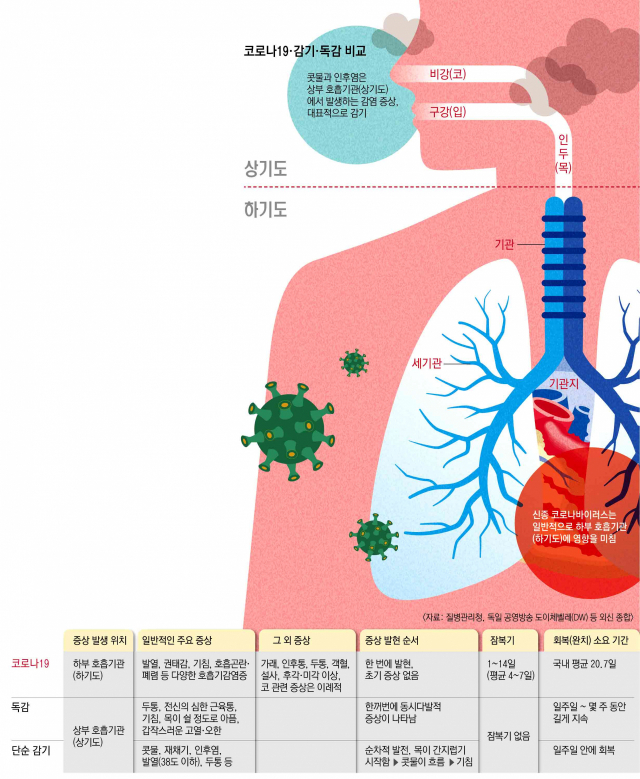 최근 5년간 독감으로 진료를 받은 환자 10명 중 7명은 20대 이하인 것으로 나타났다. 또 독감 환자 70% 이상이 겨울철에 발병한 것으로 나타났다. 국민건강보험공단은 이 같은 내용의 2015∼2019년 진료 데이터 분석 결과를 9일 발표했다. 연합뉴스