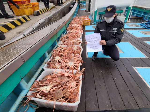 지난해 말 포항시 남구 구룡포읍 구룡포항에 입항하려다 적발된 대게 불법 조업 어선. 포항해양경찰서 제공.