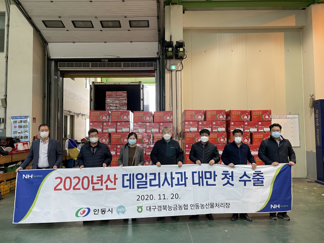 20일 대만 수출용 사과 13.2t에 처음으로 친환경 과일 포장재를 적용한 뒤 관계자들이 기념촬영을 하고 있다. 경북도 제공