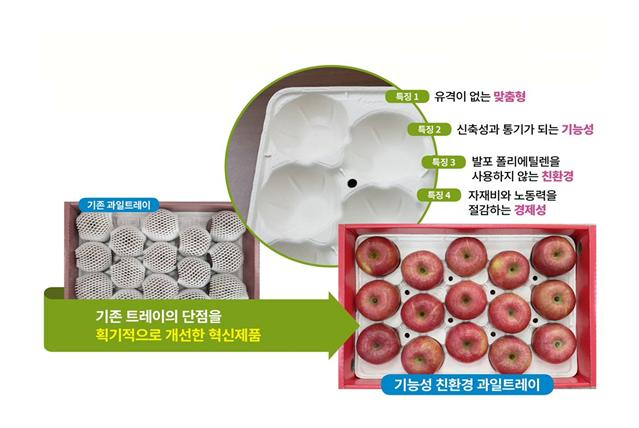 과일 트레이 비교 사진.