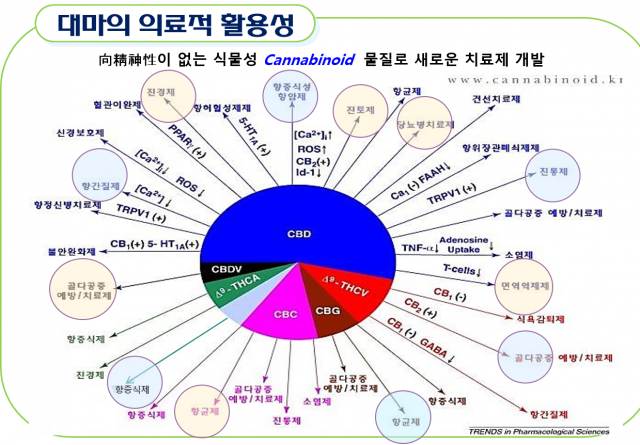 대마산업 관련 그림
