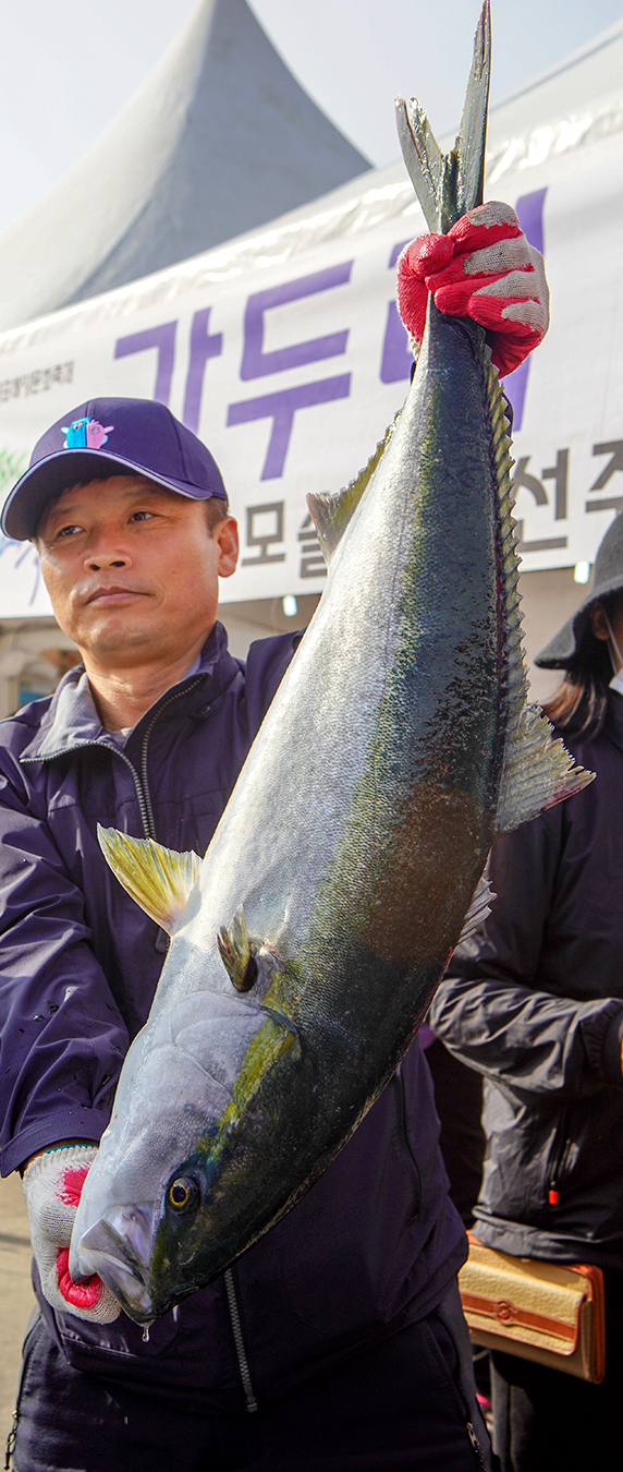 2018년 11월 29일 서귀포시 대정읍 모슬포항 일원에서 열린 