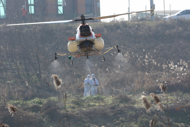 26일 오전 농림축산식품부가 철새 도래지인 청주시 흥덕구 미호천변에서 무인헬기를 동원해 조류인플루엔자(AI) 예방을 위한 방역작업을 하고 있다. 연합뉴스