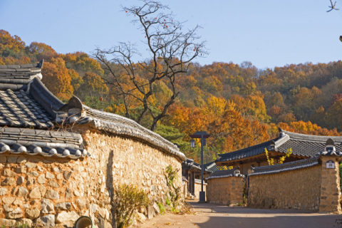 성주 한개마을. 경북문화관광공사 제공