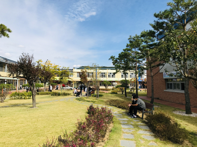 올해 