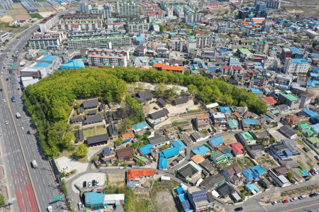 포항 흥해향교 이팝나무 군락이 천연기념물에 지정됐다. 포항시 제공