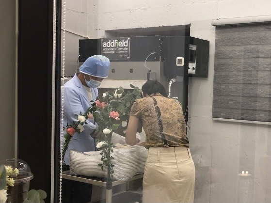 예삐가 화장하는 기계로 들어가고 있다. 동물장례지도사 분들의 행동 하나하나에 조심함이 보인다.