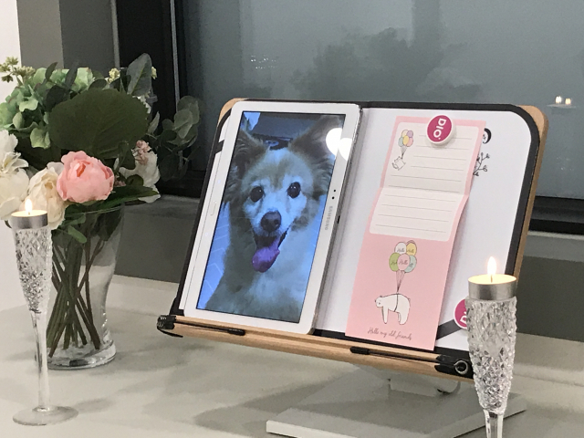 화장하기 전 반려동물을 추모하는 절차. 예삐의 사진이 태블릿 pc에 띄워져 있다.