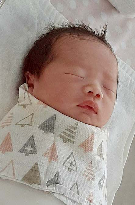 권회란아가