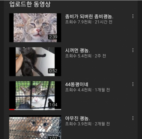 길고양이 학대 유튜버의 동영상 목록. 유튜브 채널은 현재 폭력에 대한 YouTube 정책을 여러 번 또는 심각하게 위반하여 계정이 해지된 상태다.