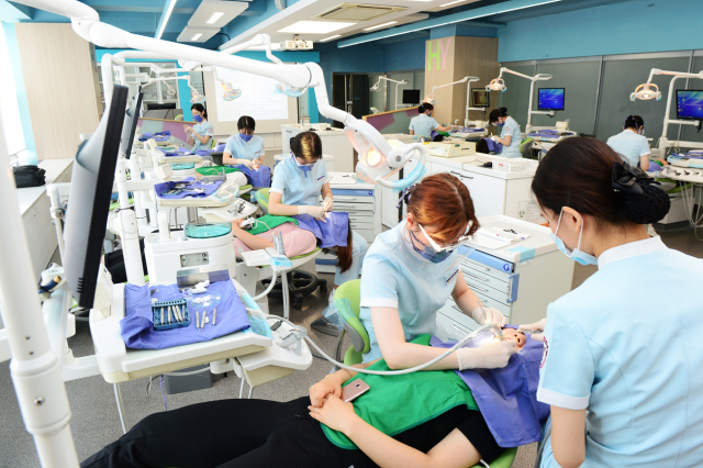 대구보건대학교 치위생과 학생들이 실습을 하고 있다. 대구보건대 제공
