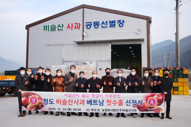 청도 비슬산 사과 베트남 첫 수출