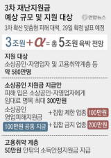 노영민 청와대 비서실장이 27일 국회에서 열린 고위 당정청협의회에서 발언하고 있다. 연합뉴스
