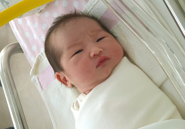 김보희아가