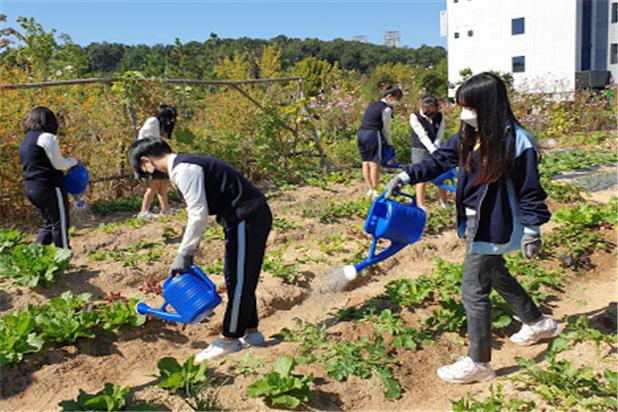 2020년 학교텃밭 활동 프로그램 관련 사진. 농식품부 제공