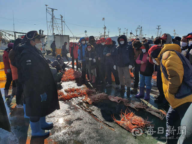 지난달 말 포항 구룡포수협 위판장에서 대게 경매가 이뤄지고 있는 모습. 매일신문DB