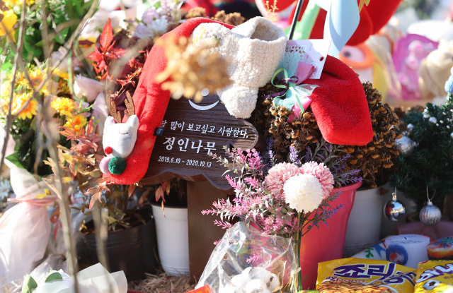 6일 오전 경기 양평 하이패밀리 안데르센 공원묘지에 안장된 정인 양의 묘지에 추모객들이 놓고 간 편지와 선물이 놓여 있다. 연합뉴스