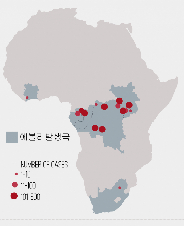 현미경으로 본 에볼라 바이러스