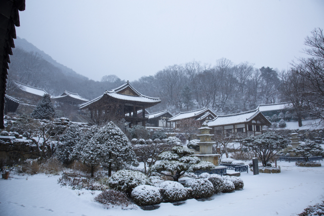 한국관광 100선에 4번째 선정된 천년고찰 부석사 전경. 부석사에 백색의 향연이 펼쳐지고 있다. 김우교씨 제공