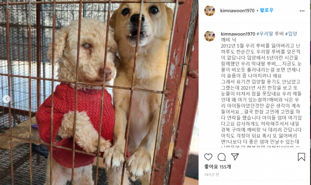 김나운이 인스타그램을 통해 유기견 입양 소식을 전했다. 김나운 인스타그램 캡쳐