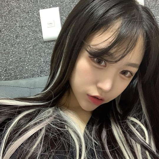 유튜버 조두팔