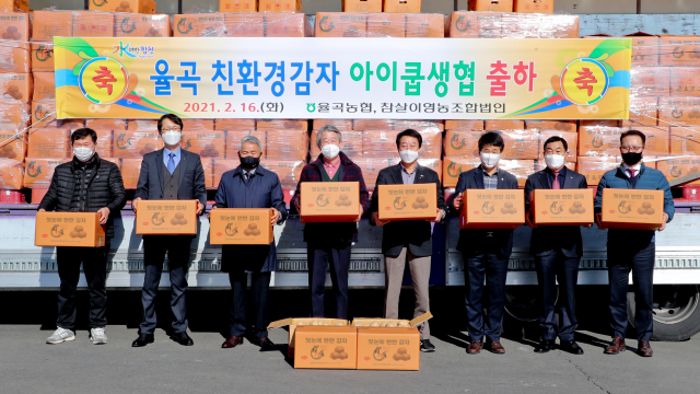 경남 합천군 율곡면 참살이영농조합법인은 친환경감자 12t을 이이쿱생협에 첫 출하했다. 합천군 제공